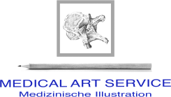 Medical Art Service
